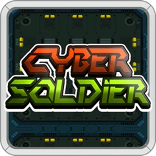 Cyber soldier
